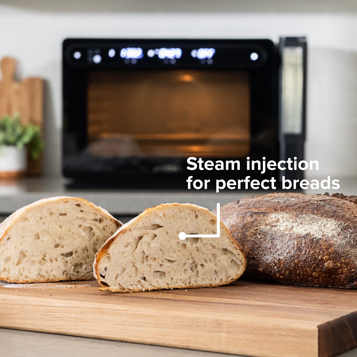 Anova Precision Combi Steam Oven photo 5